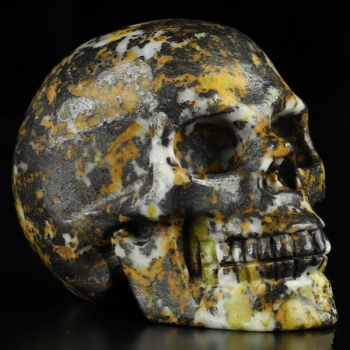 Skull Jaspis Color Hiso